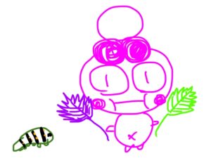 初めて紫蘇(大葉・赤紫蘇)を育てた感想・反省～家庭菜園初心者の記録④～