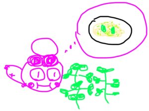 バジルを育てた感想・反省～家庭菜園初心者の記録⑧～