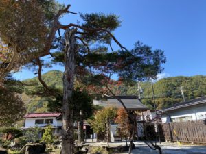 宮ノ越グローカルWEEK2021・5-6日目の様子(2021/10/28-29)