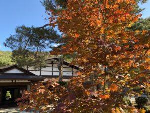 宮ノ越グローカルWEEK2021を終えて うまくいったこと5つ