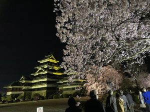 2022年松本城夜桜会・光の回廊に行ってみた。様子と感想