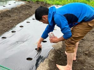 農園に種まきをしました。様子と感想