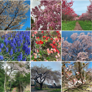 地域おこし協力隊活動まとめ(2022年4月)