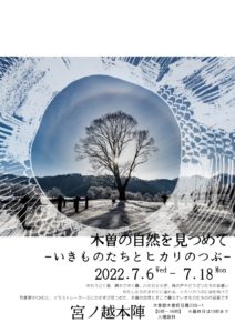 木曽の写真・イラスト展を開催しま～す！みんな来てね(2022/07/06-18)