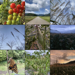 地域おこし協力隊活動まとめ(2022年9月)