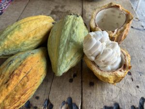 2025年ガーナ滞在記〜6日目(前編)・旅立ちの祈り〜