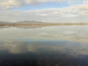 フランス・スペイン旅行記8日目(前編)〜高速鉄道AVEでジローナからリヨンへ〜